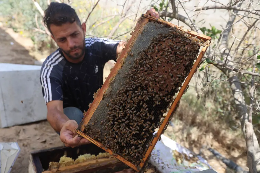 30 BİN KOVANDAN GERİYE 700'Ü KALDI 1