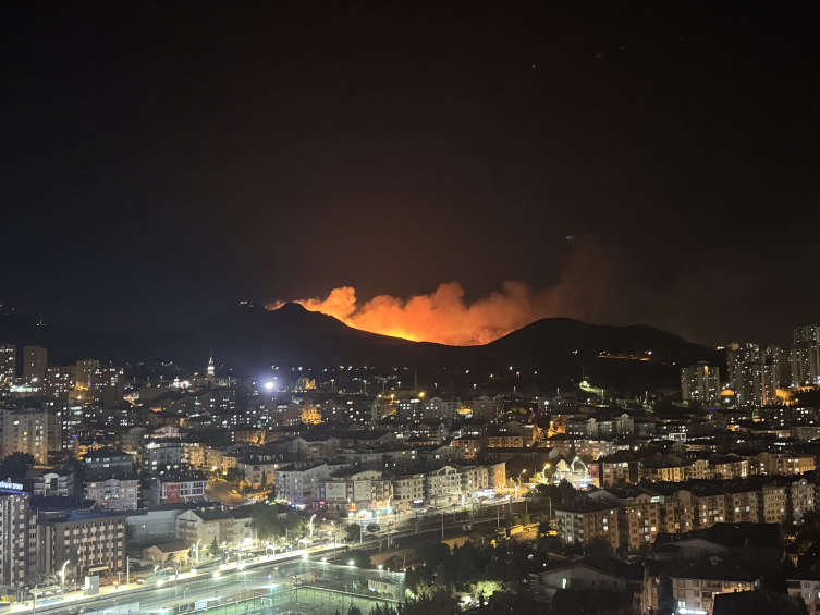 Ankara'da ağaçlık alanda çıkan yangının faili yakalandı