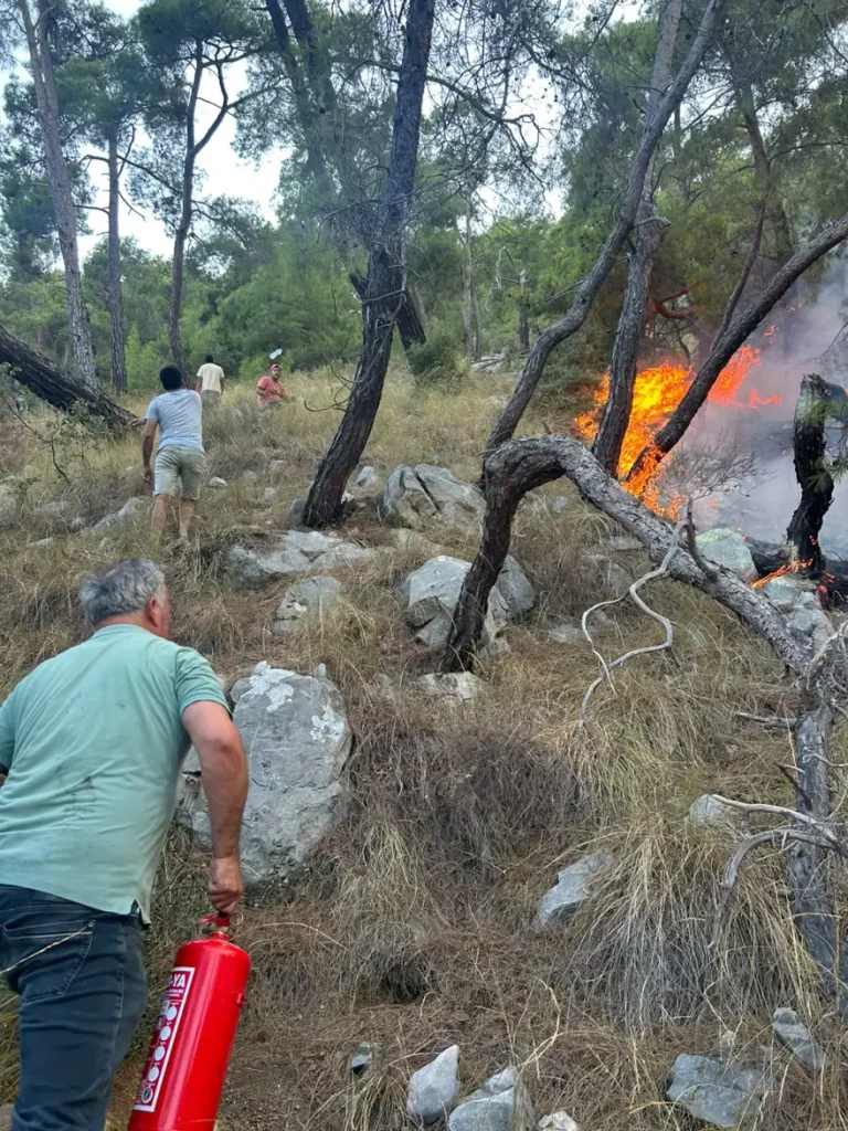 Antalya'da orman yangını. Yangın tüplerini eşekle taşıdılar 3