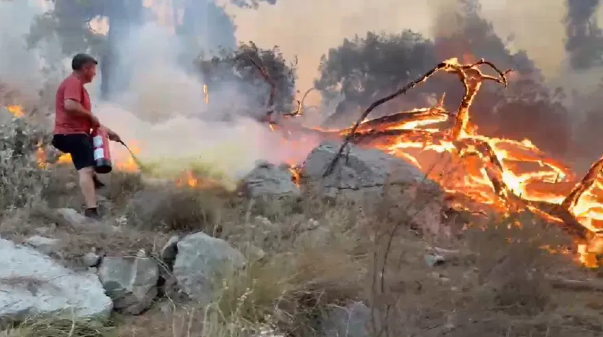 Antalya'da orman yangını. Yangın tüplerini eşekle taşıdılar