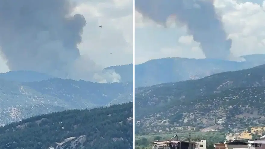 Aydın Kuyucak'ta orman yangını. Meteoroloji kritik saatlere dikkat çekti 1