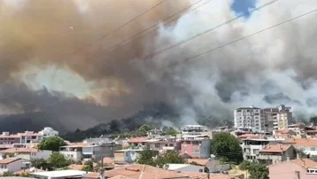 Balıkesir'de orman yangını. Alevler yerleşim yerine yaklaştı