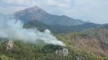 Balıkesir'de orman yangını