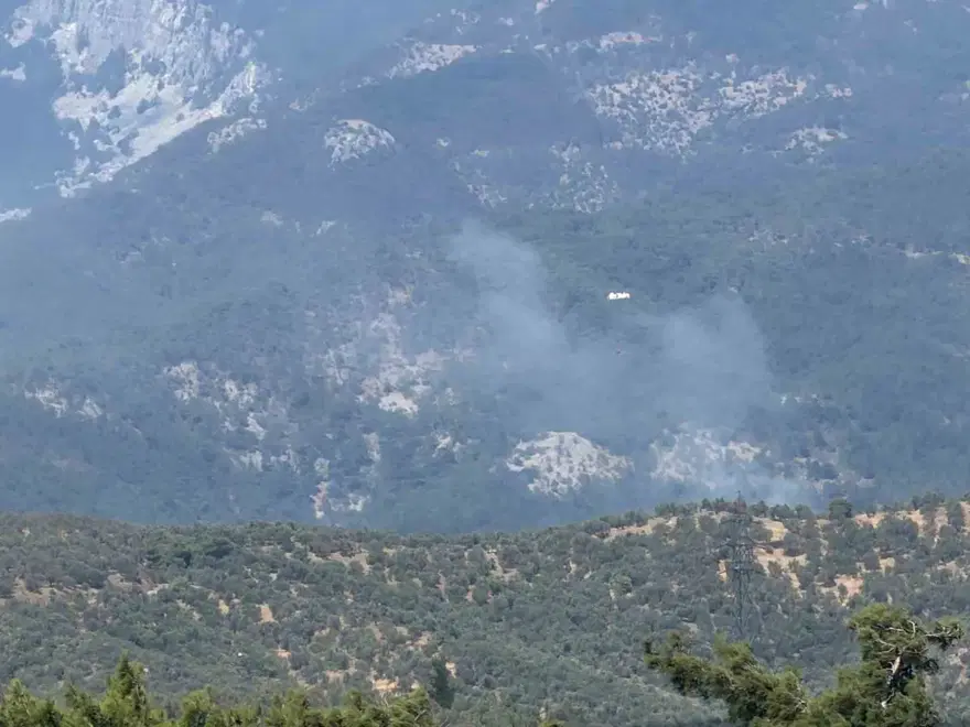 Balıkesir Edremit'te orman yangını. Ekipler müdahale ediyor 1