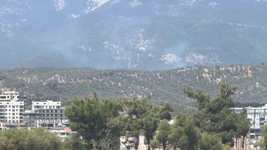 Balıkesir Edremit'te orman yangını. Ekipler müdahale ediyor