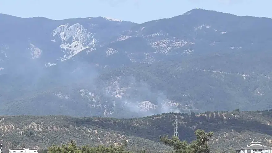 Balıkesir Edremit'te orman yangını. Ekipler müdahale ediyor 2