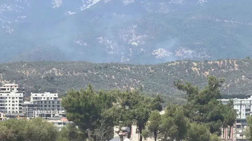 Balıkesir Edremit'te orman yangını. Ekipler müdahale ediyor 3