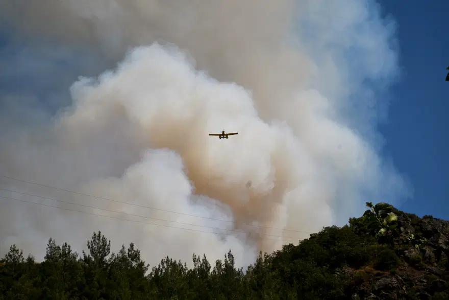 Balıkesir'de orman yangını. Kamyonda başlayan yangın ormana sıçradı 1
