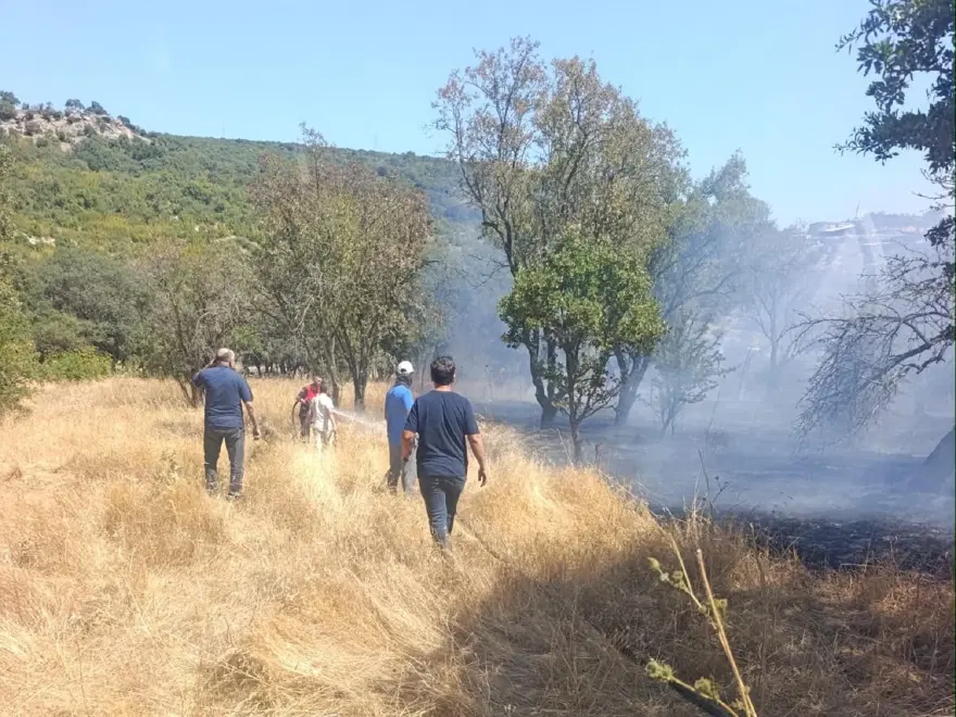 Çanakkale'de tarım arazisi ve merada yangın 1