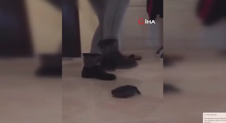 GÖZALTINA ALINDI 2