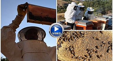Doğanın bereketi bala yansıdı: Rekoltede yüzde 20 artış