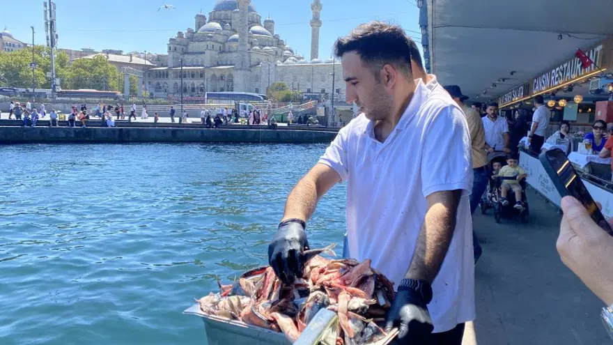 "MARTILAR İÇİN ATIYORDUK, ORKİNOSLAR GELDİ" 2