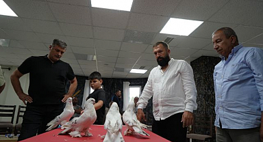 Erzurum'da servet değerindeki güvercinler görücüye çıktı