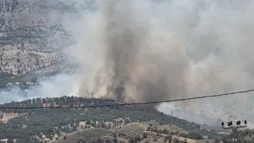 Adıyaman'da orman yangını. Ekipler müdahale ediyor