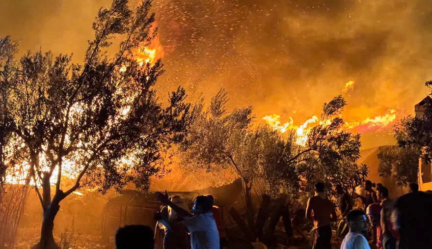 Fethiye'de yeşil alanlar küle döndü