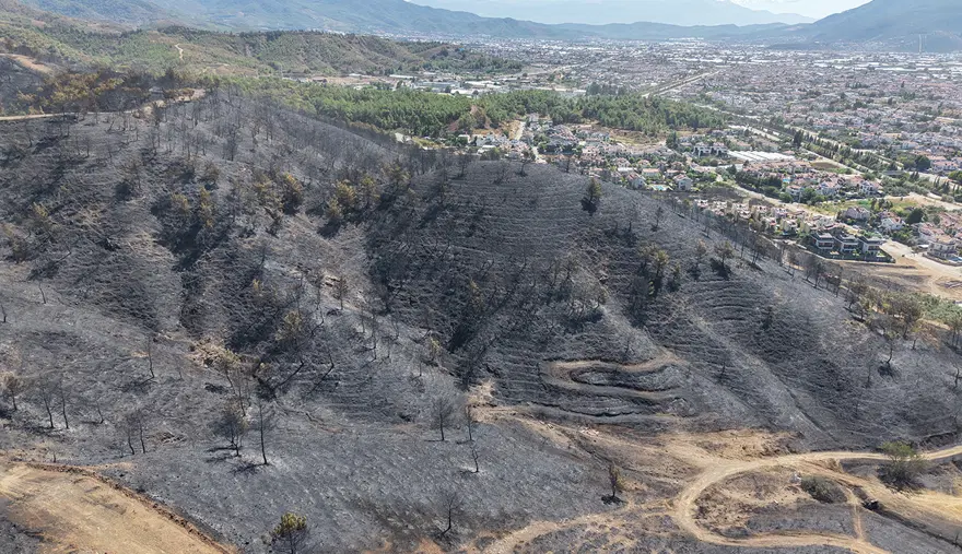 Fethiye'de yeşil alanlar küle döndü 4