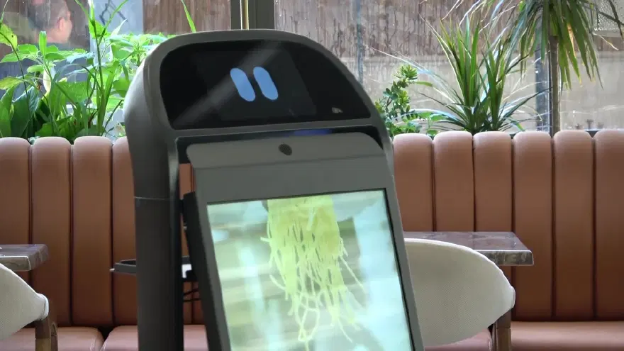 Garson robot kendini merdivenlerden attı. Çalışma stresi yaşayan robota 3 gün izin verildi 4