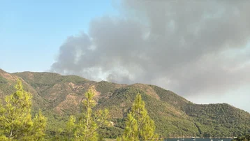 Muğla'nın Marmaris ilçesinde çıkan orman yangınına müdahale ediliyor.
