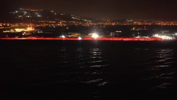 Hatay sahillerinde deniz kaplumbağaları için kırmızı ışık