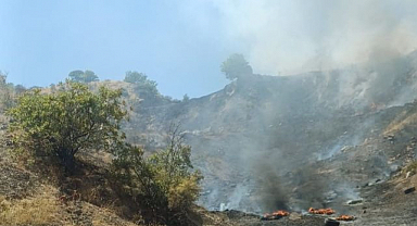 Çöplük yangını ormana sıçradı