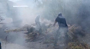 Saman balyaları alevlere teslim oldu   