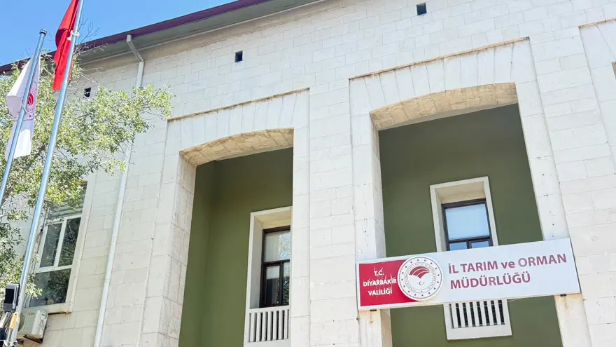 YILDA 200 BİNDEN FAZLA KUDUZ AŞISI YAPILIYOR 3