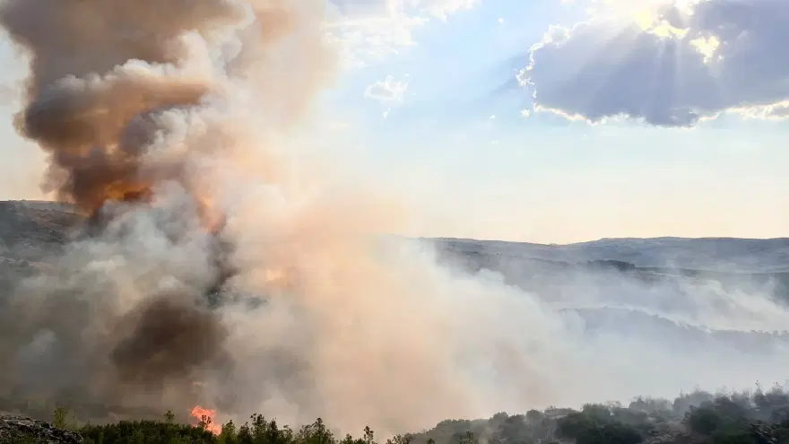 Manisa'da orman yangını. Havadan ve karadan müdahale ediliyor 4