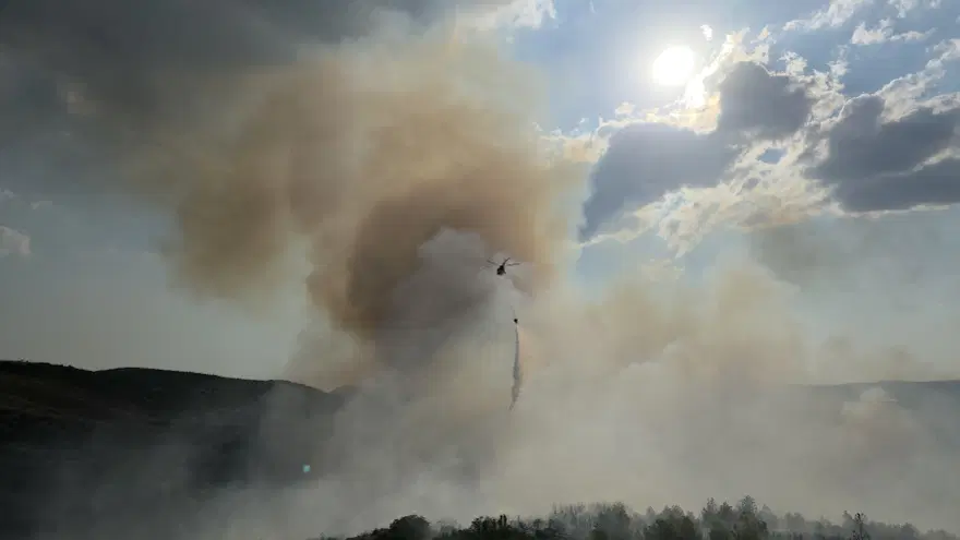 Manisa'da orman yangını. Havadan ve karadan müdahale ediliyor