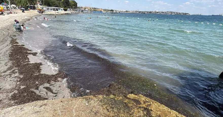 SON ÜÇ YILDA SAYILARI HIZLA ARTTI 1
