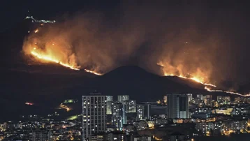 Ankara'da ağaçlık alanda yangın. Bir kişi gözaltına alındı