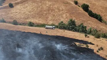 Tunceli'de otluk alandaki yangın ormana sıçradı. Ekipler müdahale ediyor