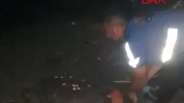 Sahilde yönünü şaşıran caretta carettayı vatandaşlar denize ulaştırdı