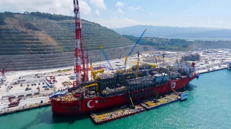 DEV VİNÇLER KULLANILDI 1