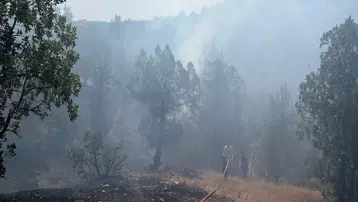 Bursa'daki orman yangını kontrol altında