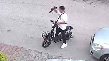 Bolu'da vahşet: Yavru kediyi önce öptü, sonra boğdu