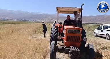 Güneş altında hasat zamanı!