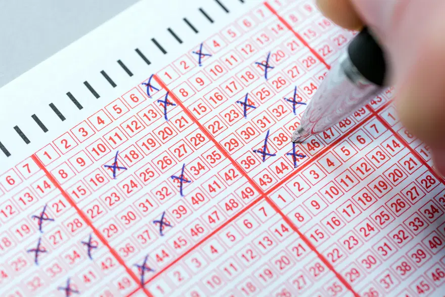 Süper Loto çekiliş sonuçları belli oldu: MPİ Süper Loto kazandıran numaraları sorgulama ekranı 1