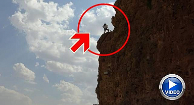 Böylesi görülmedi! Sınırları zorlayan hasat...