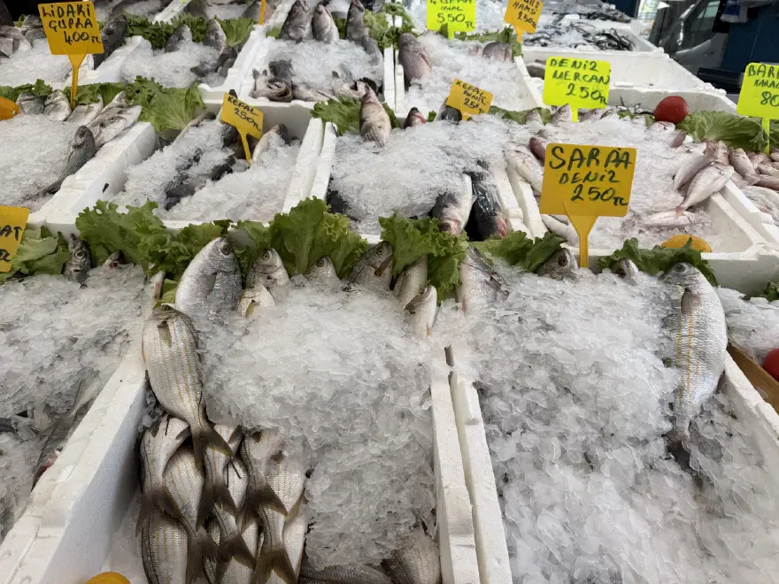 3 kilosu 100 TL. 10 gündür fiyatlar düşüyor 2