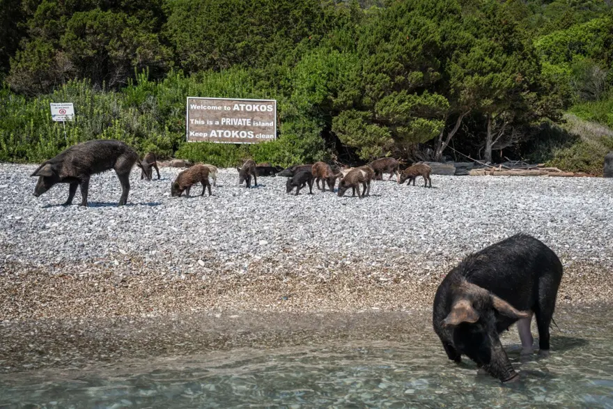 SOSYAL MEDYA ADAYI ÜNLÜ YAPTI 3