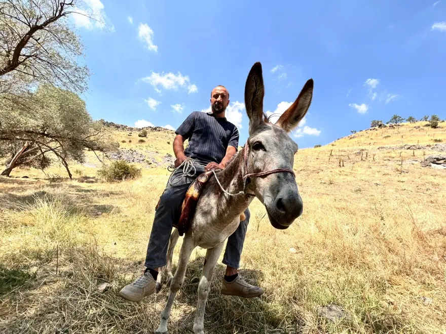 "EŞEĞİMİ NORMAL BİR ARAÇ GİBİ ÇEKİCİYE YÜKLEMİŞLER" 1
