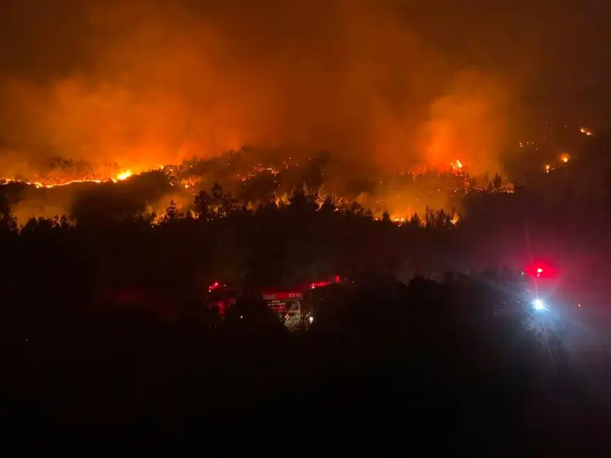Antalya'da orman yangınıyla mücadele. Evler boşaltıldı