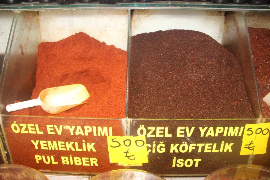 ALMANYA'YA İSOT GÖTÜRECEK 2