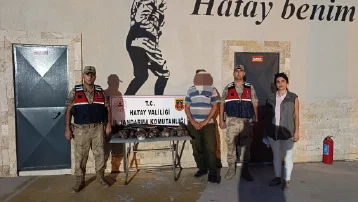 7 arı şahinini vurdu, 1 milyon 356 bin lira ceza yedi