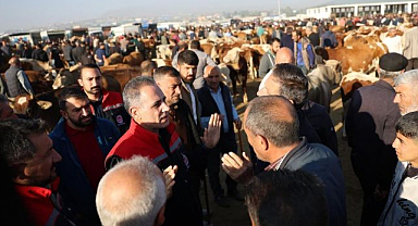 Hayvan Pazarında sıkı denetim