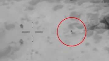 ABD kayıp pilotu İran'dan böyle kurtardı