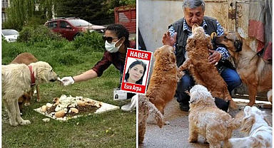 Erzurum'da sokak köpeği besleme yasağı! Kim, ne kadar ceza alacak?