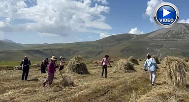 Sağanak yağışlar tarımı vurdu: Çiftçinin işi bir ay geriye kaldı