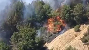 Balıkesir'de orman yangını. Ekipler müdahale ediyor