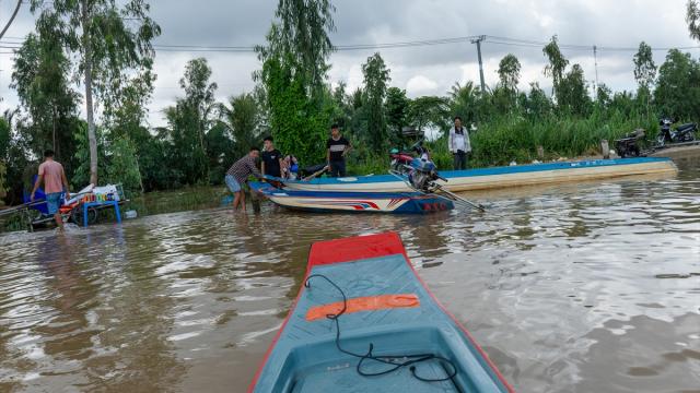 Vietnam'da su altında kalan pirinç tarlaları dinlenme alanına dönüştürüldü